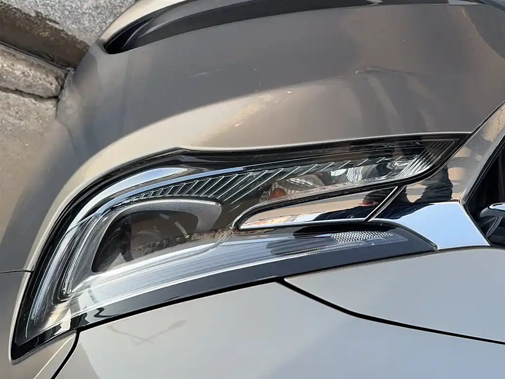 Buick GL6 2021