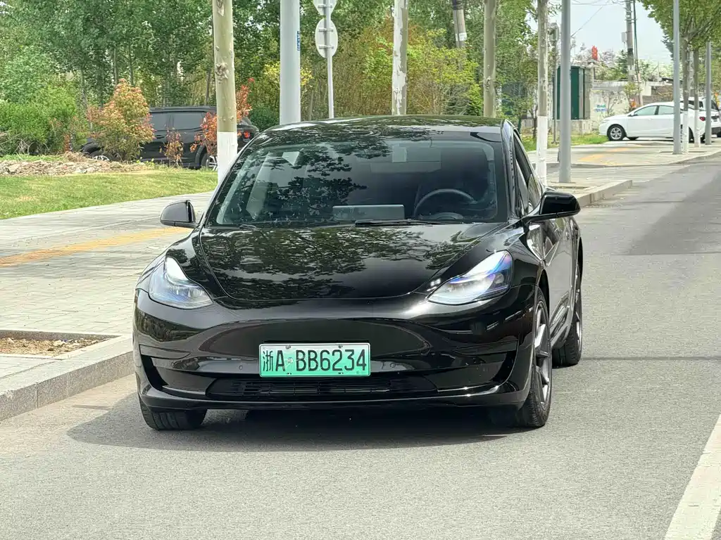 Tesla Model 3 2022