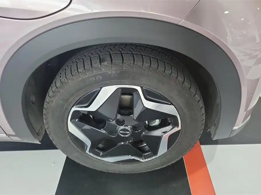 BYD Dolphin 2023