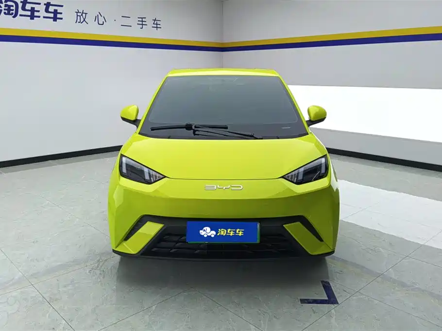 BYD Seagull 2024