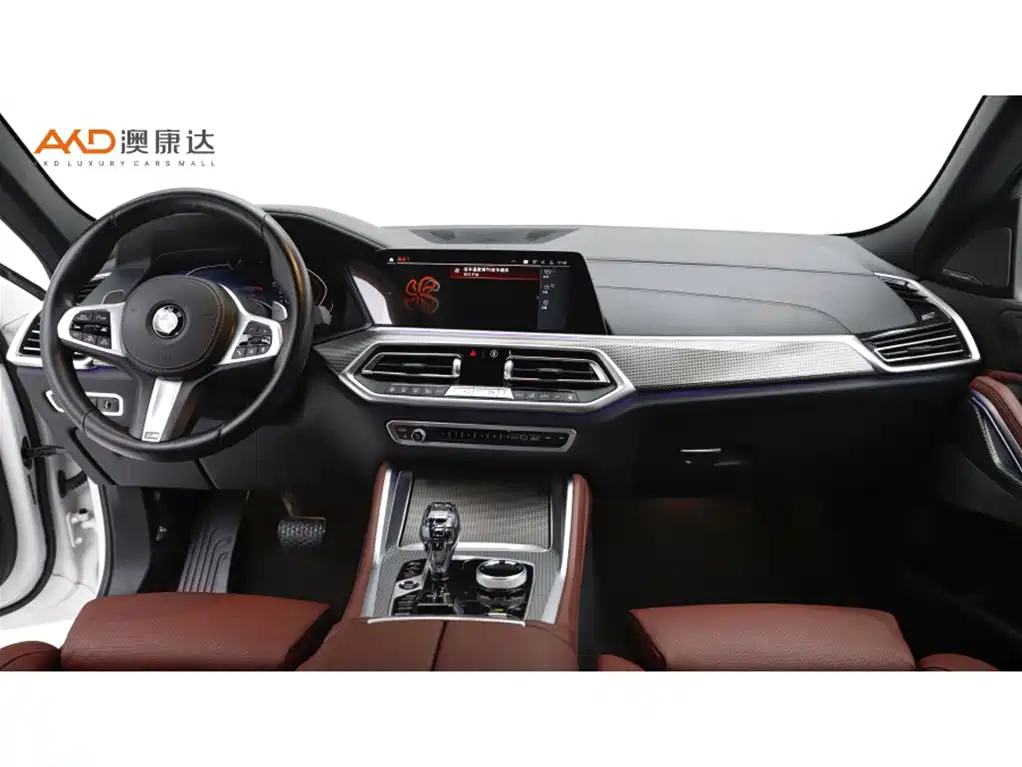 BMW X6 2021