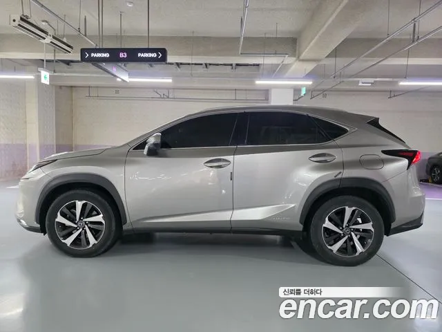 Lexus NX 2020
