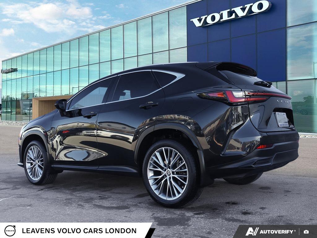 Lexus NX 2025