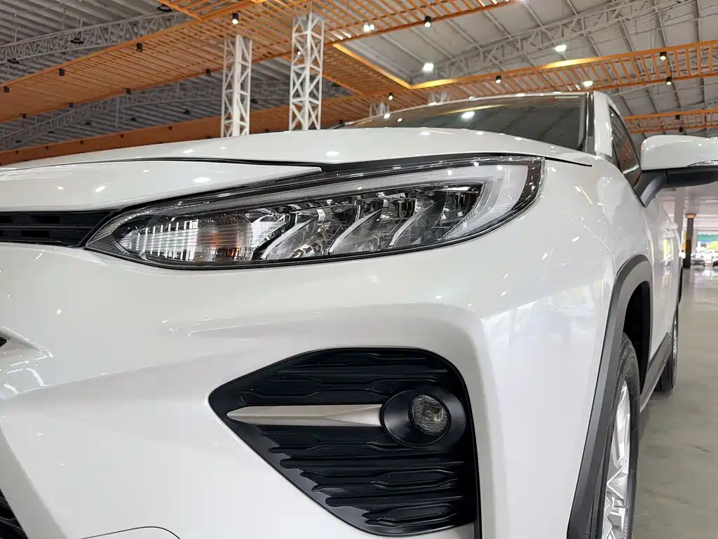 Toyota Wildlander 2021