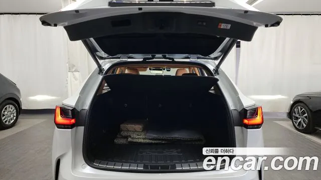 Lexus NX 2024