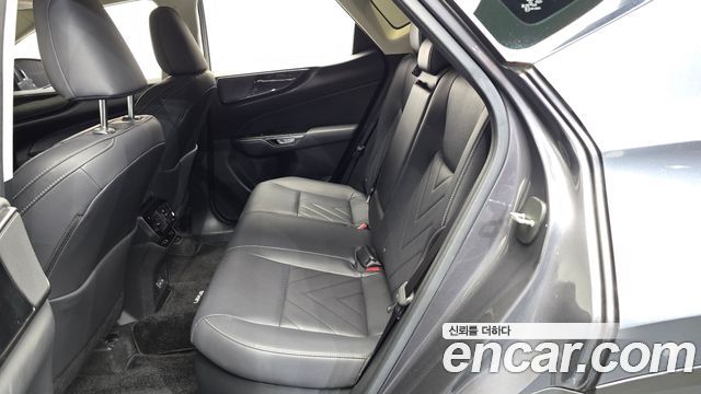 Lexus NX 2023