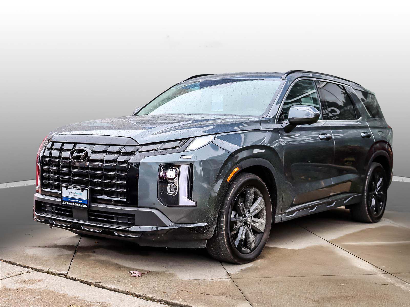 Hyundai Palisade 2024