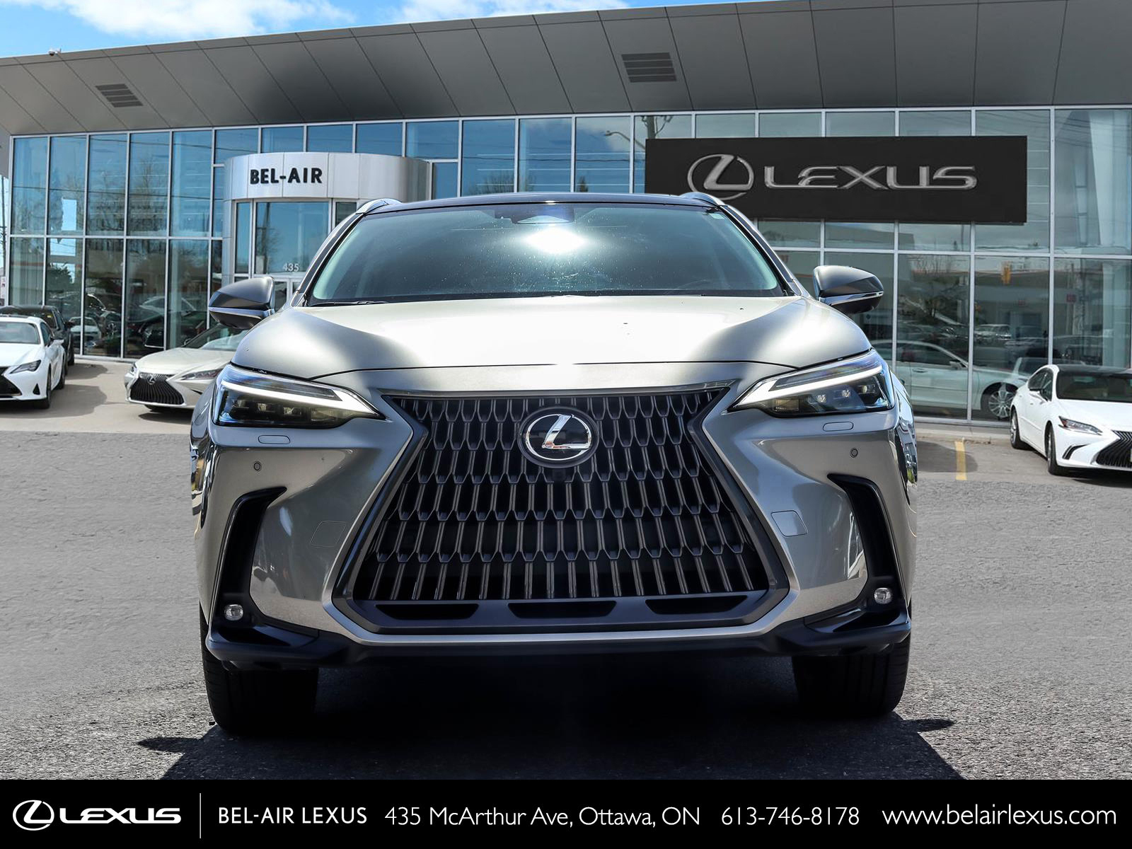 Lexus NX 350 2024