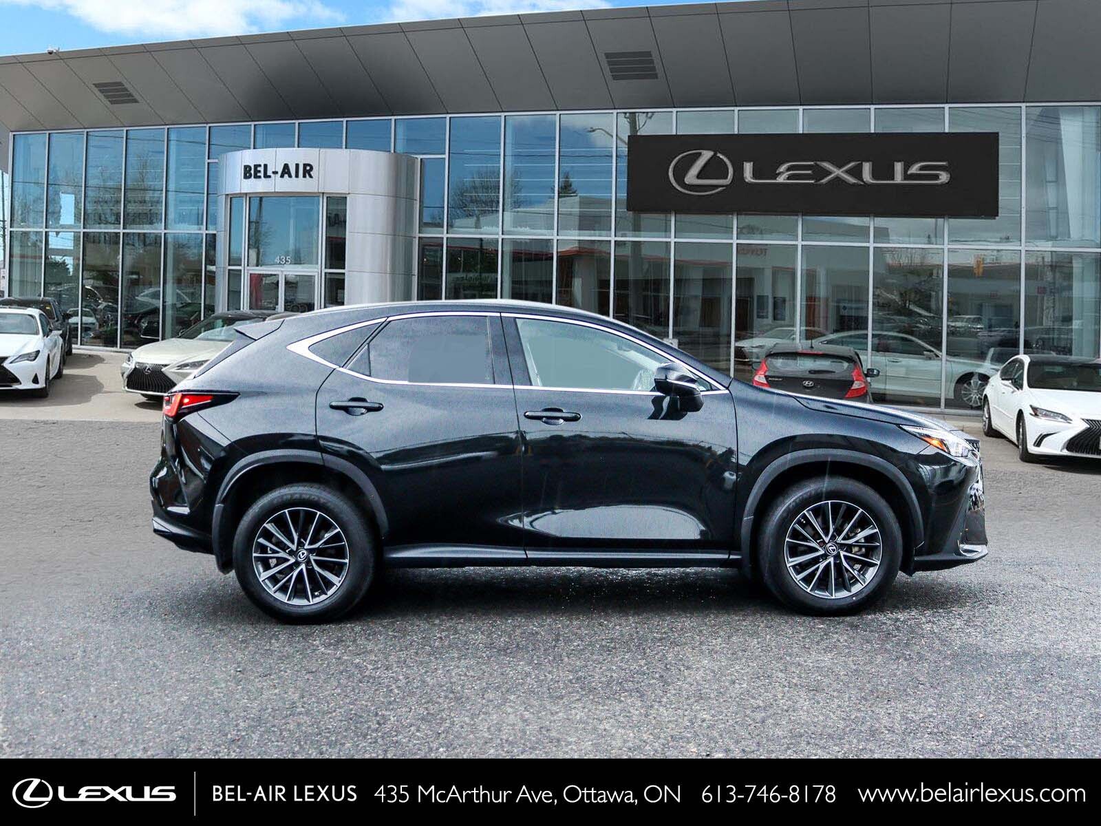 Lexus NX 2022