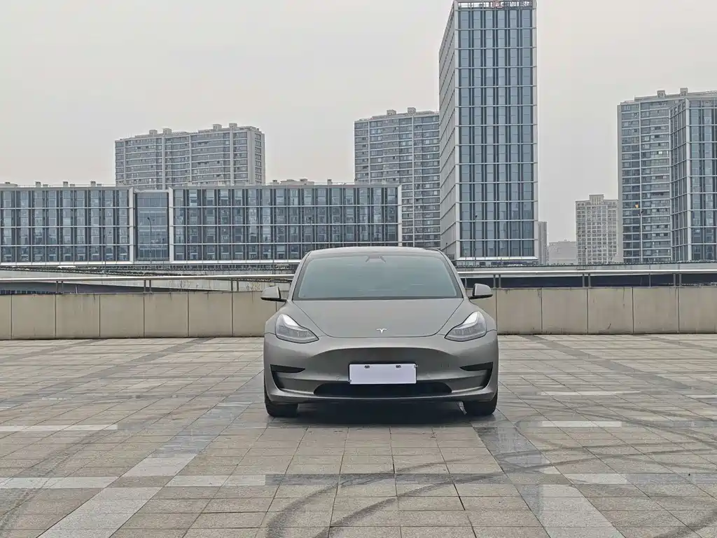 Tesla Model 3 2021
