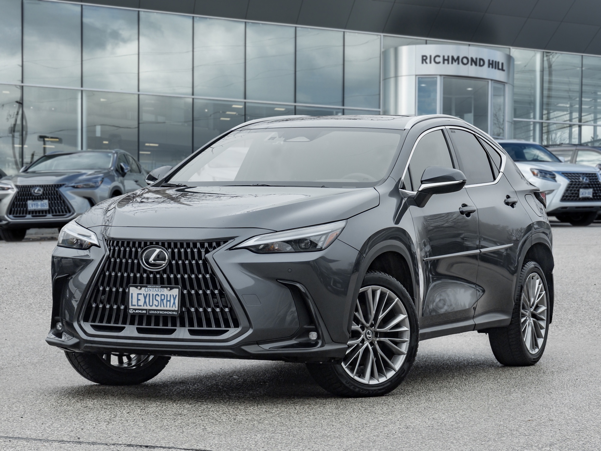 Lexus NX 350 2026