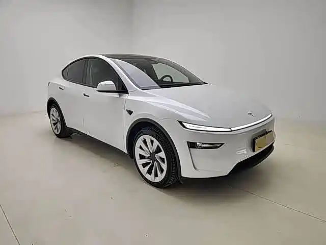 Tesla Model Y 2025