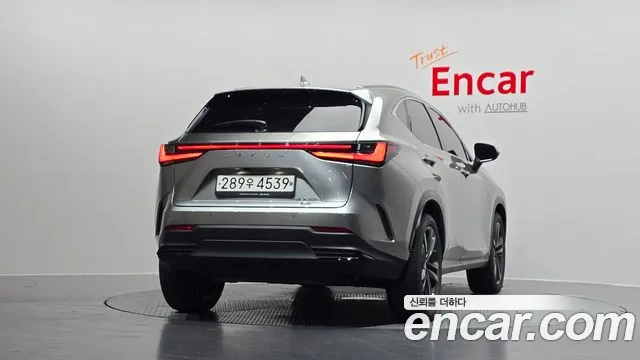 Lexus NX 2023