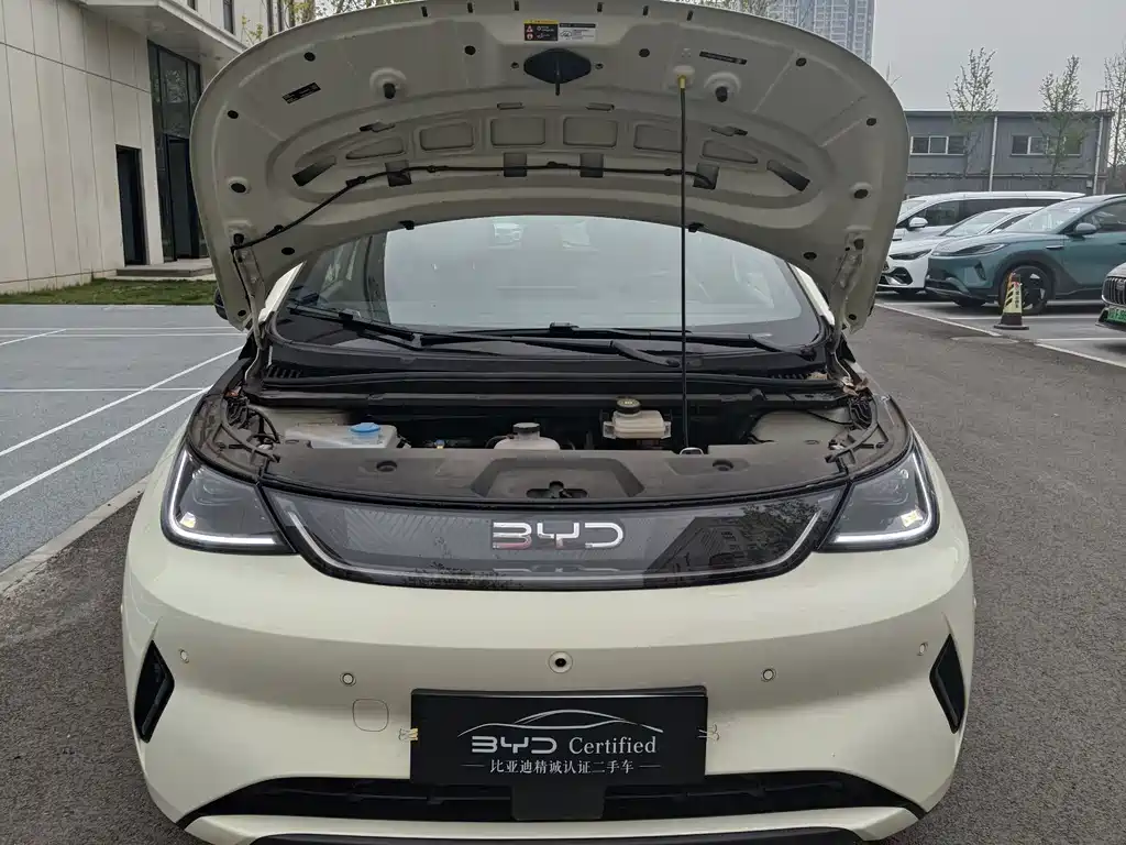BYD Dolphin 2025