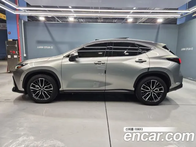 Lexus NX 2024