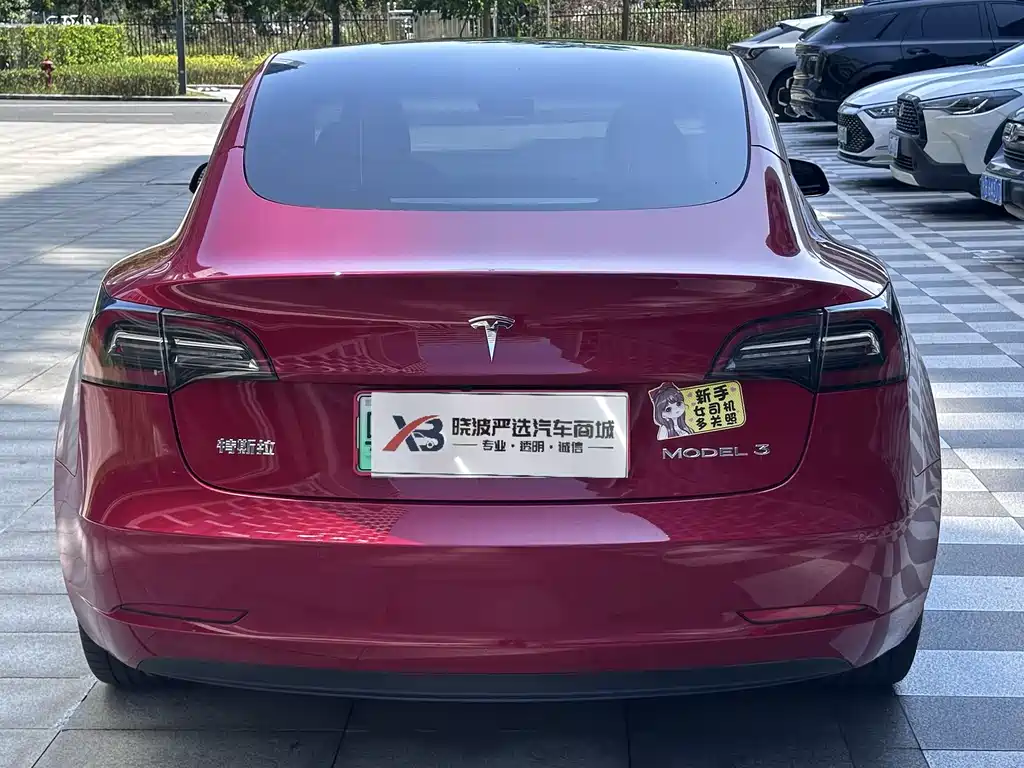 Tesla Model 3 2022
