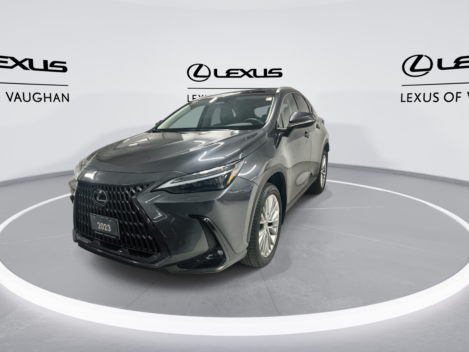 Lexus NX 350 2023