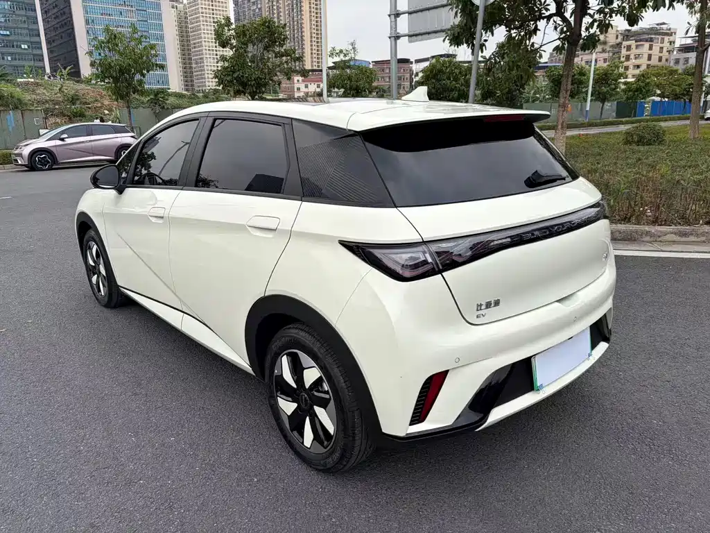 BYD Dolphin 2024