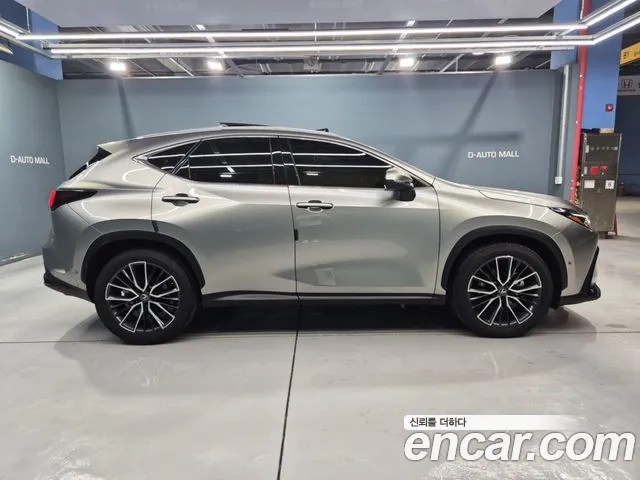 Lexus NX 2024