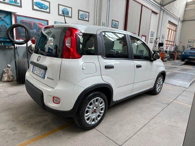 Fiat Panda 2023