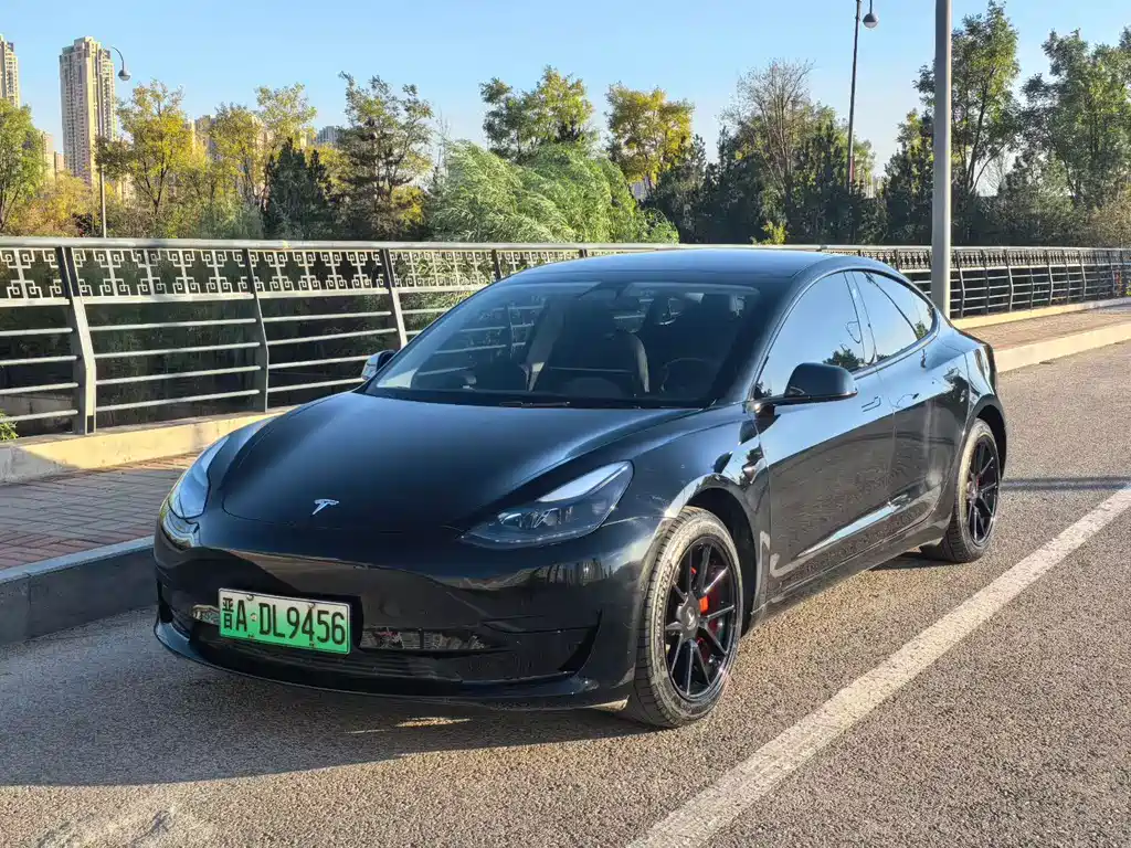 Tesla Model 3 2021