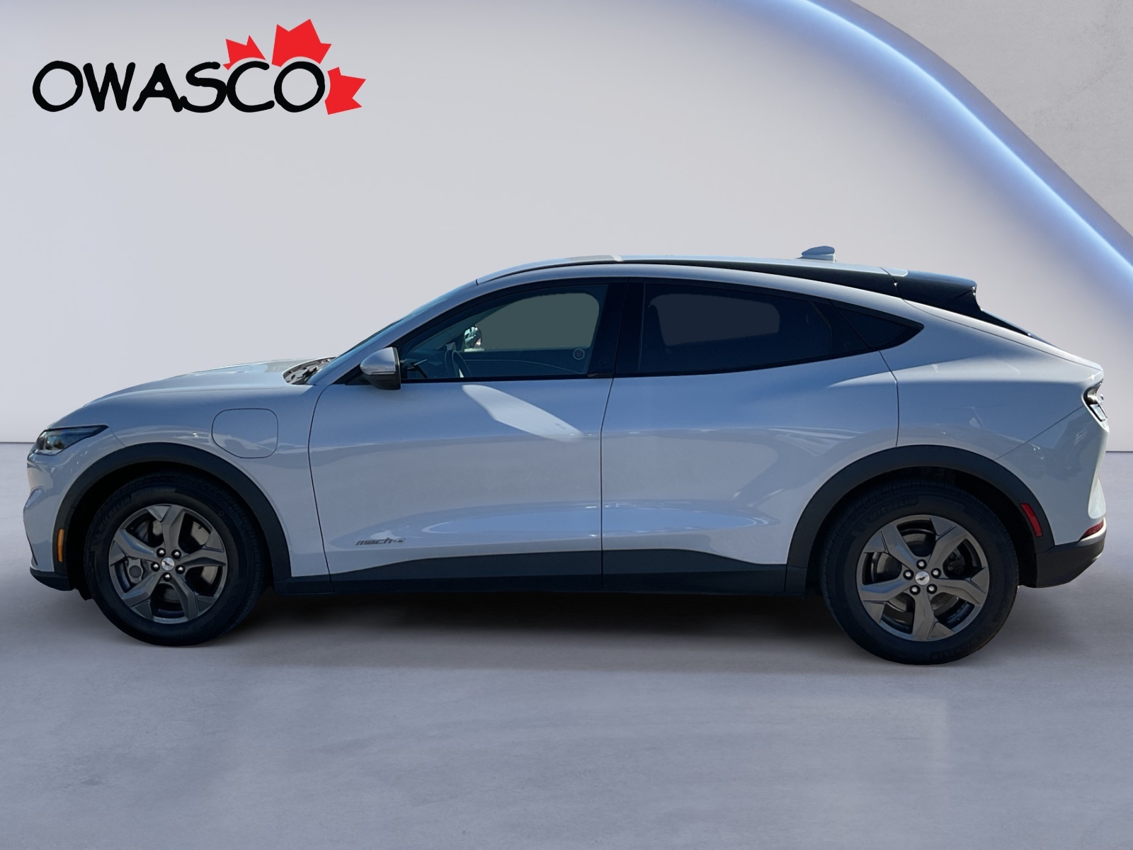 Ford Mustang Mach-E 2022