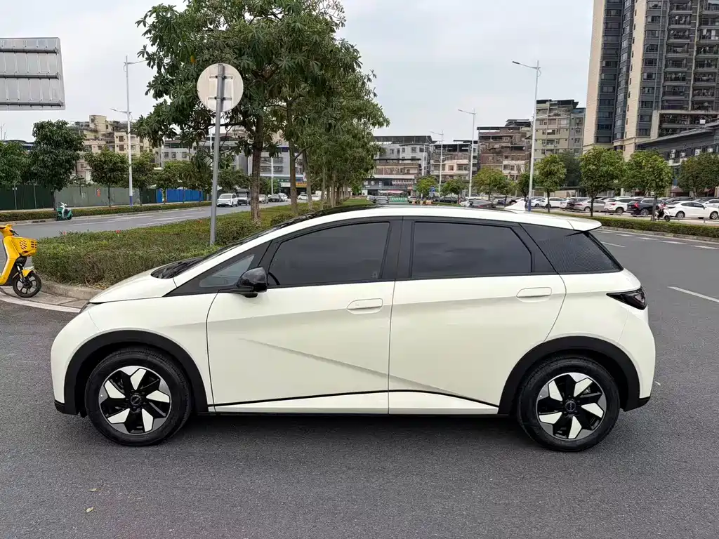 BYD Dolphin 2024
