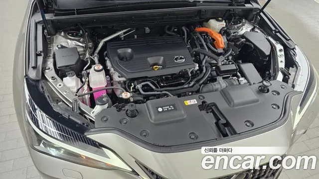 Lexus NX 2024