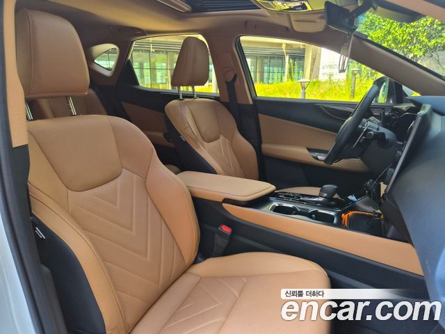 Lexus NX 2025