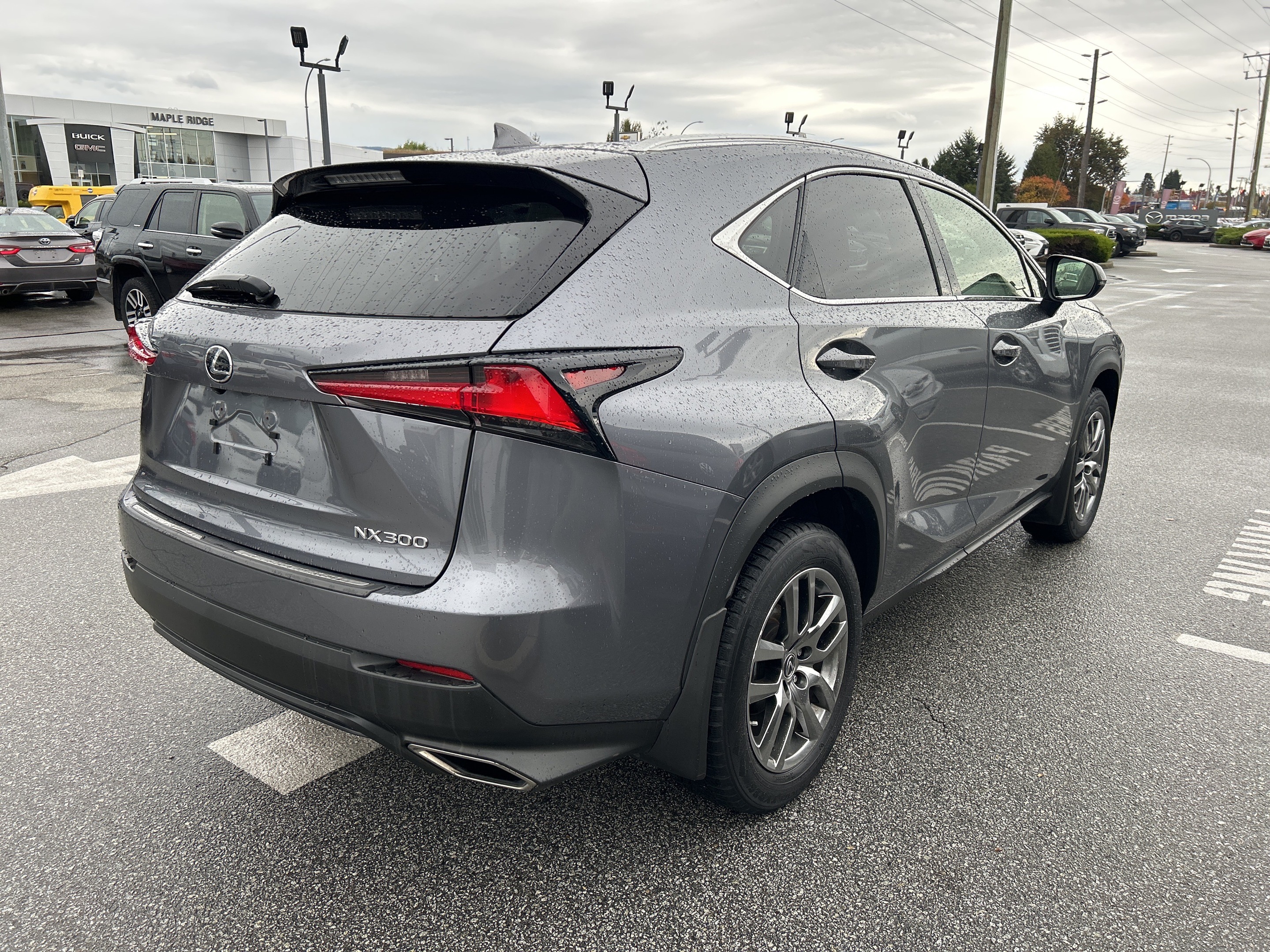 Lexus NX 2021