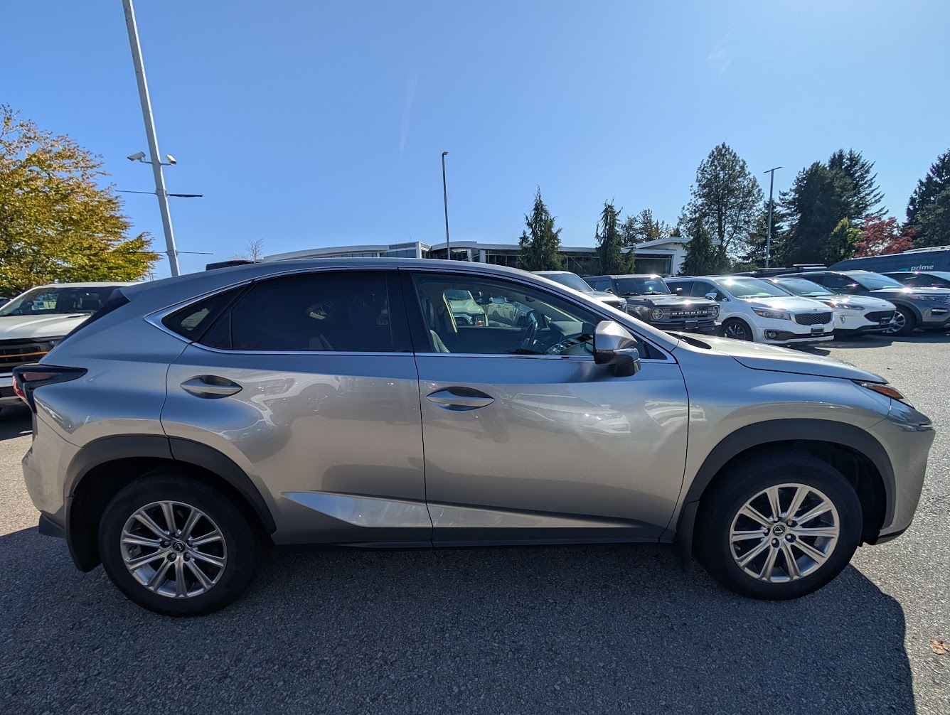 Lexus NX 2020