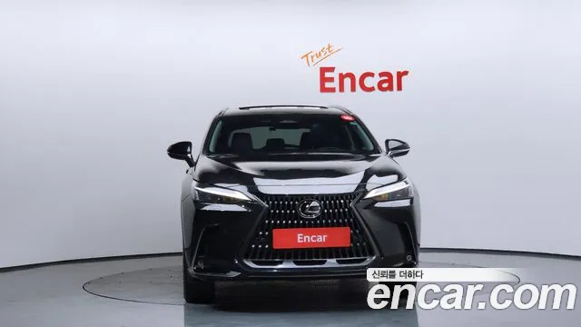 Lexus NX 2024