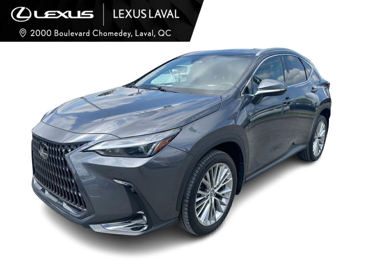 Lexus NX 2023