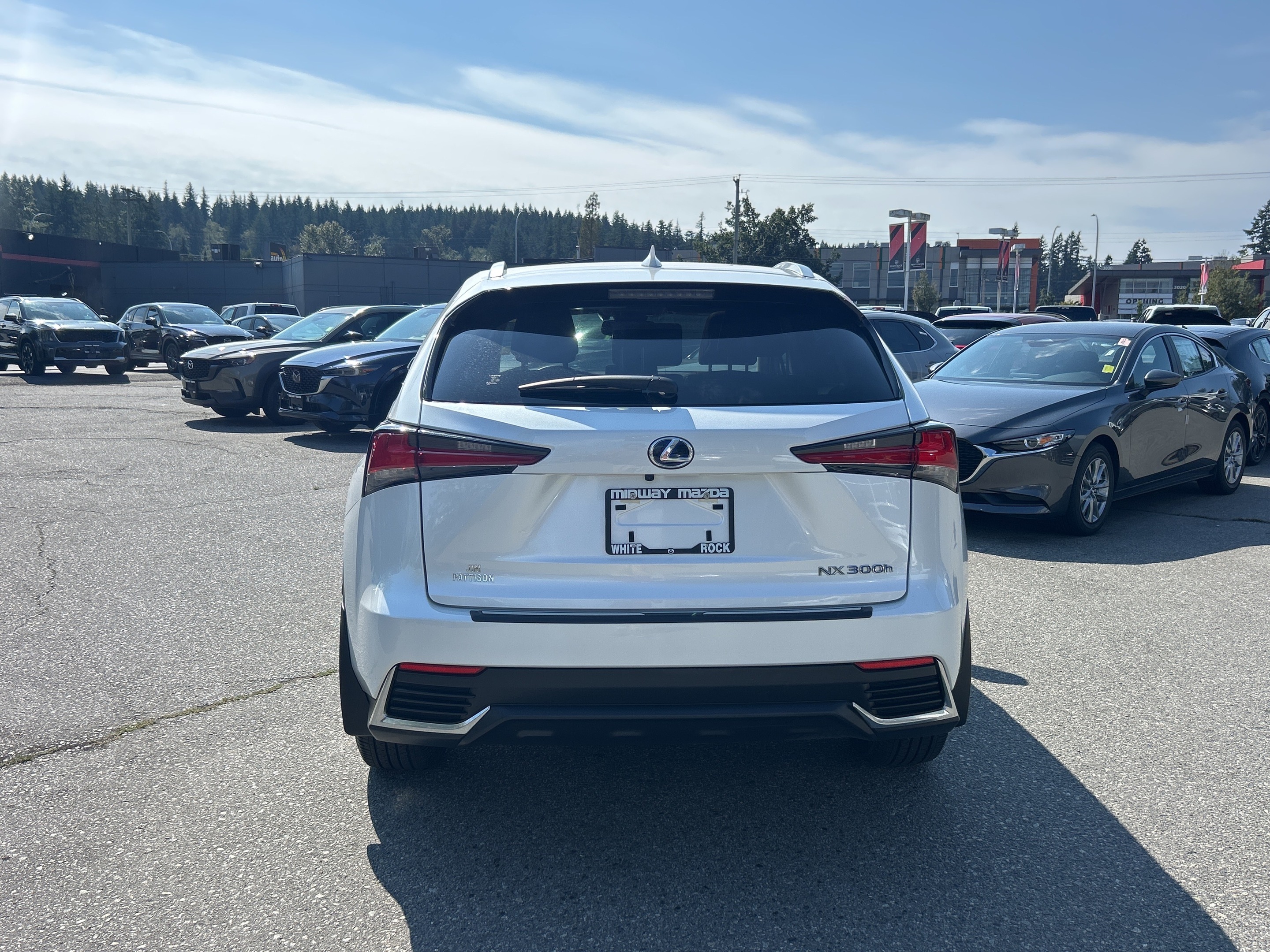 Lexus NX 2021