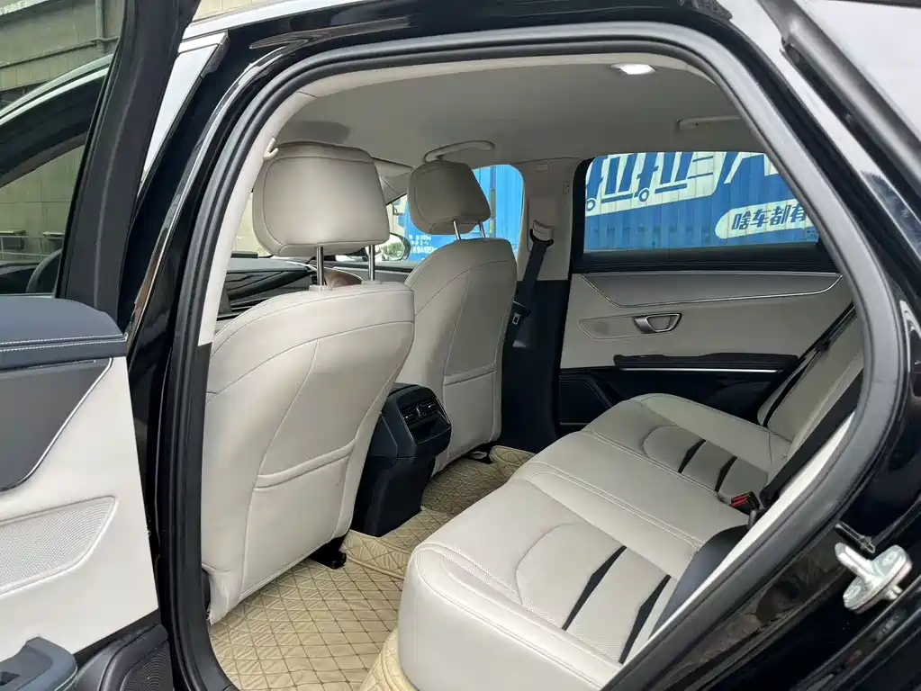 BYD E9 2021