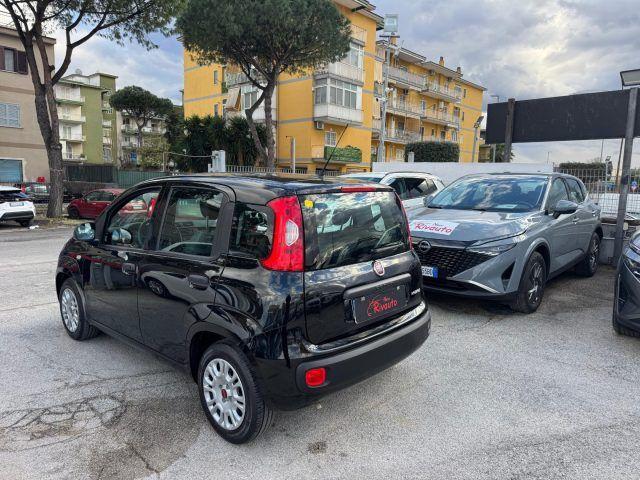 Fiat Panda 2022