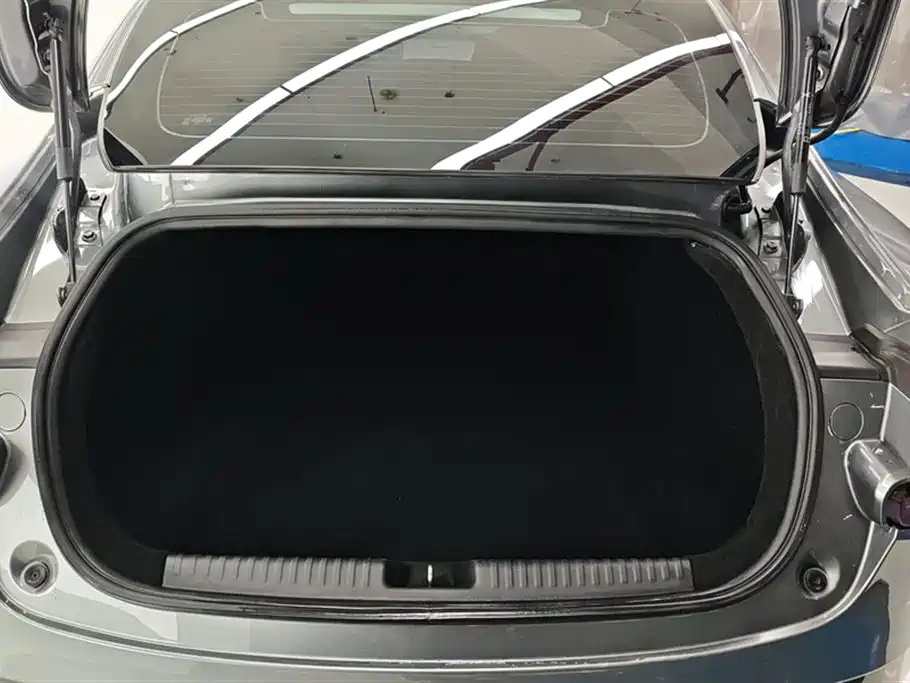 Xpeng P7 2021