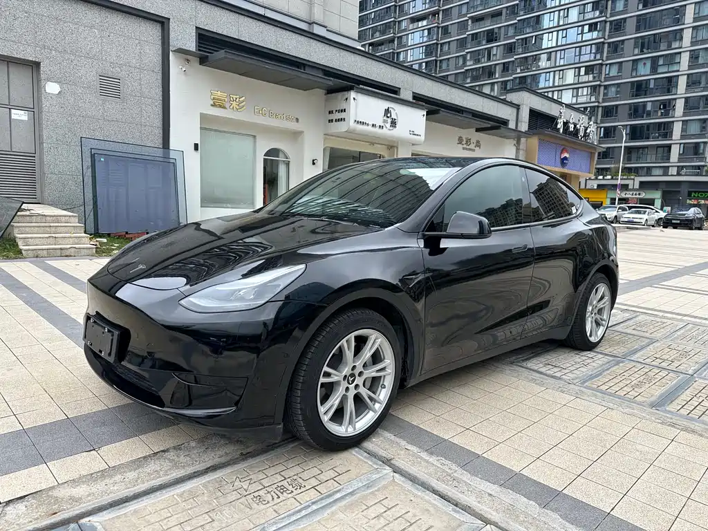 Tesla Model Y 2021