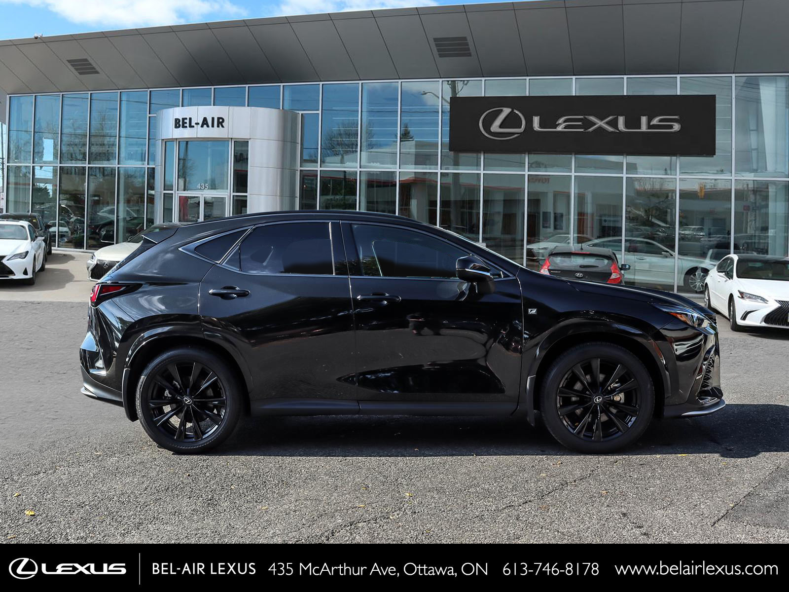Lexus NX 350 2024
