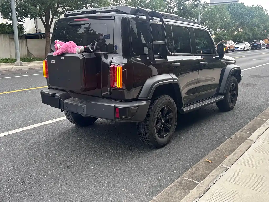 Tank 300 2025