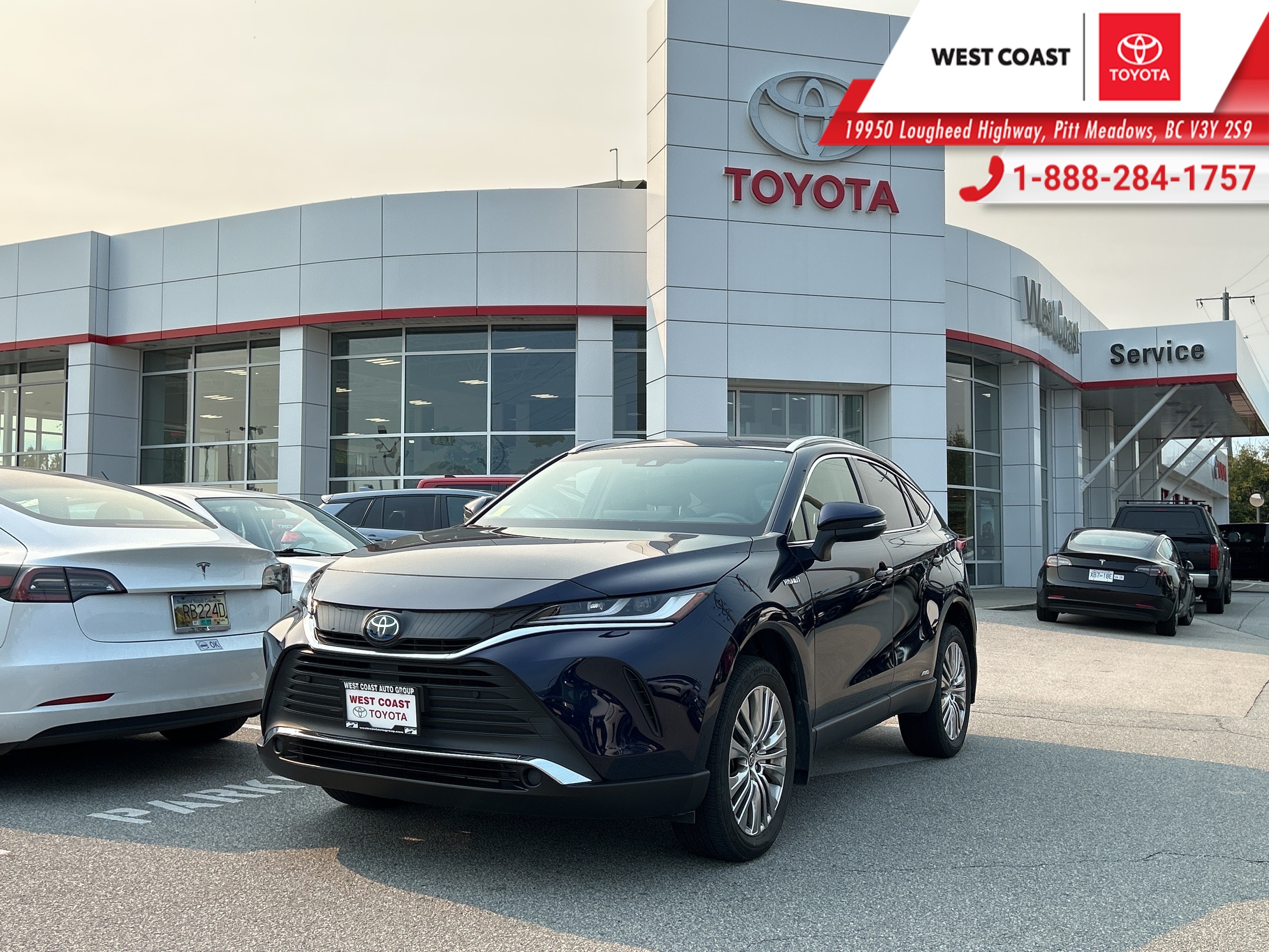 Toyota Venza 2021