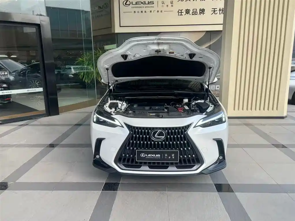 Lexus NX 2024