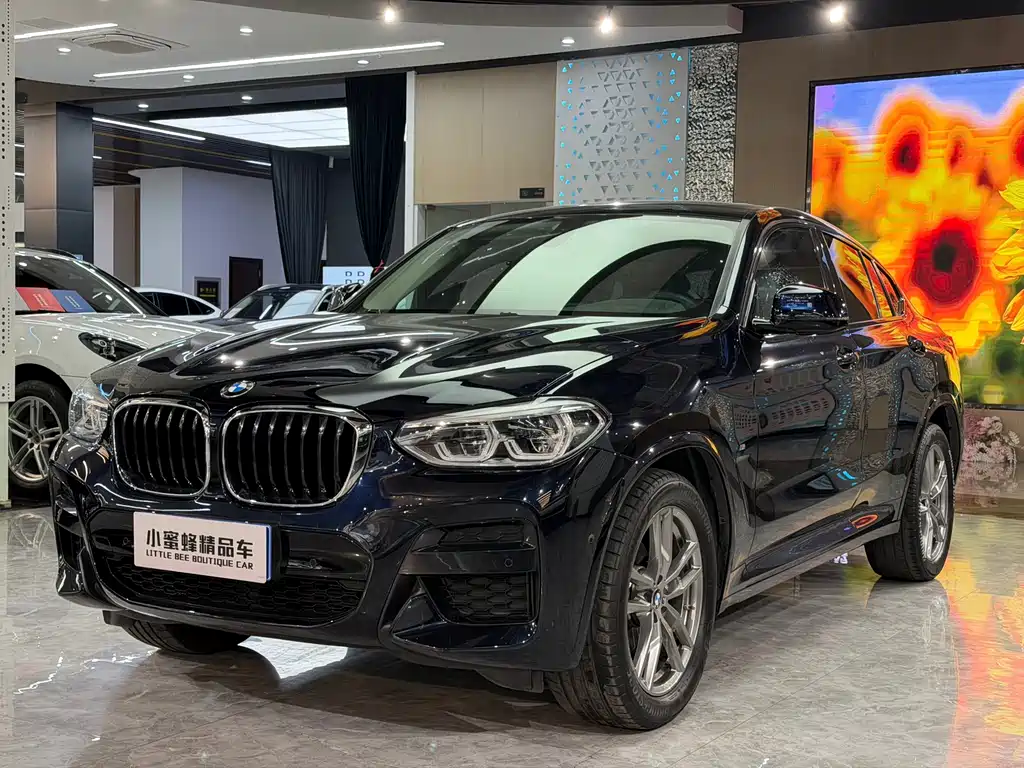 BMW X4 2021
