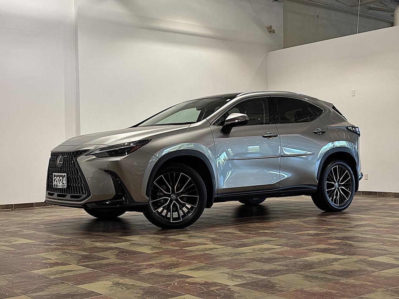 Lexus NX 350 2024