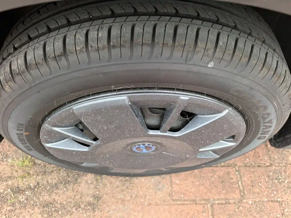 BYD Seagull 2024