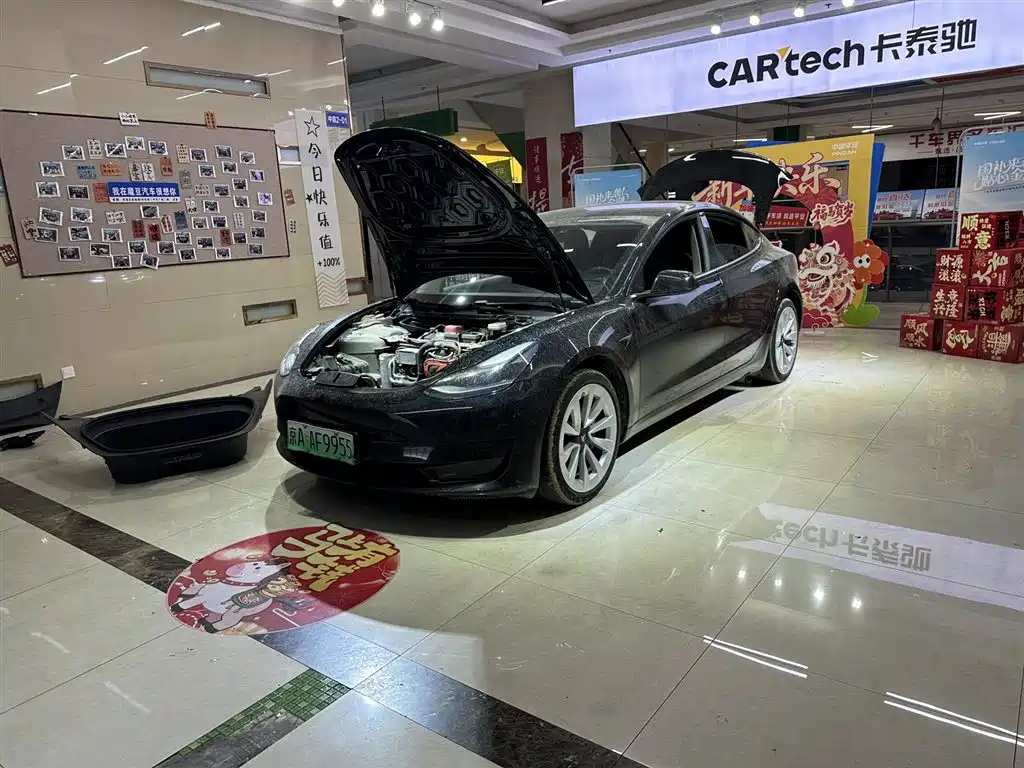 Tesla Model 3 2021