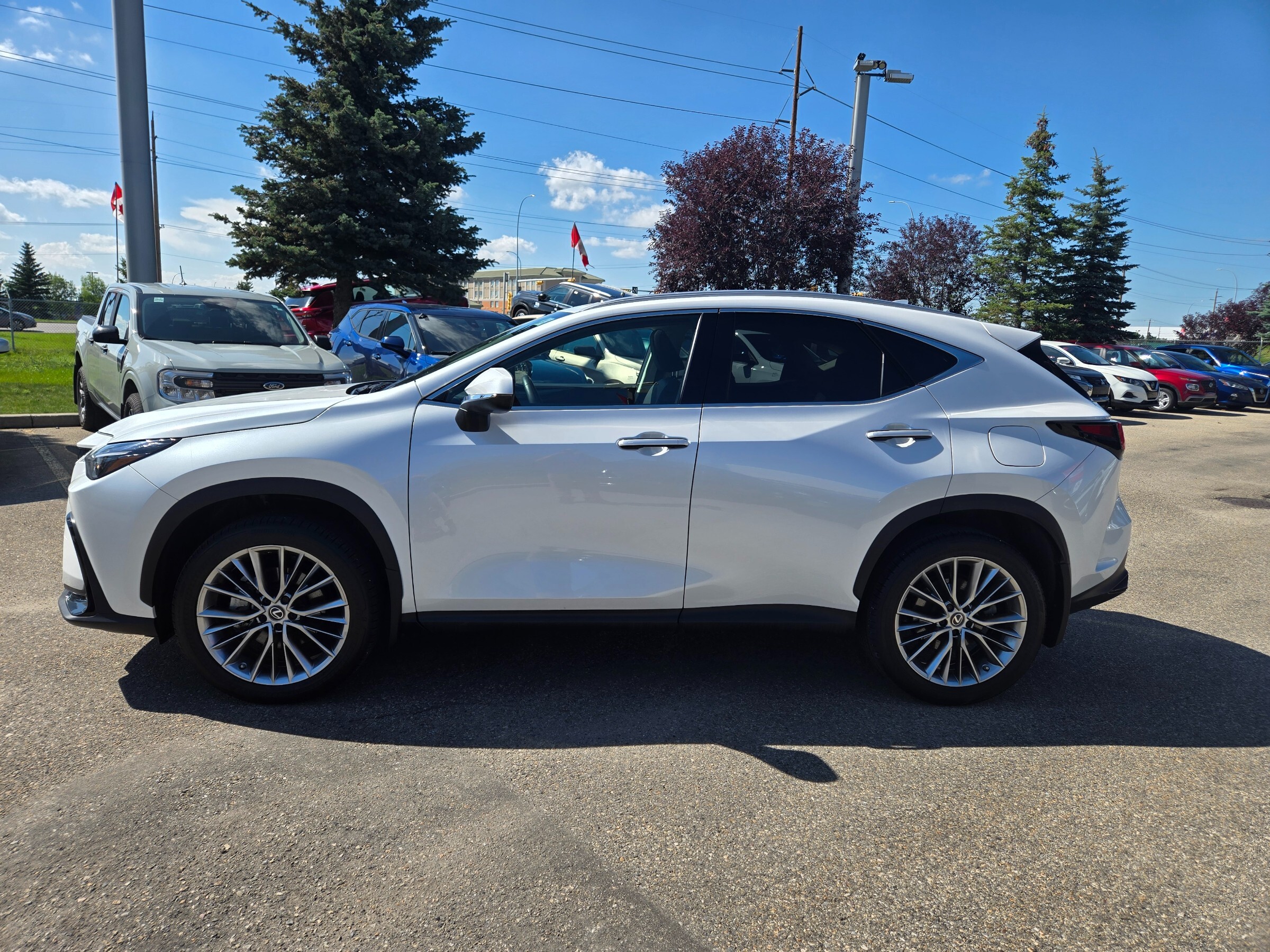 Lexus NX 350 2022