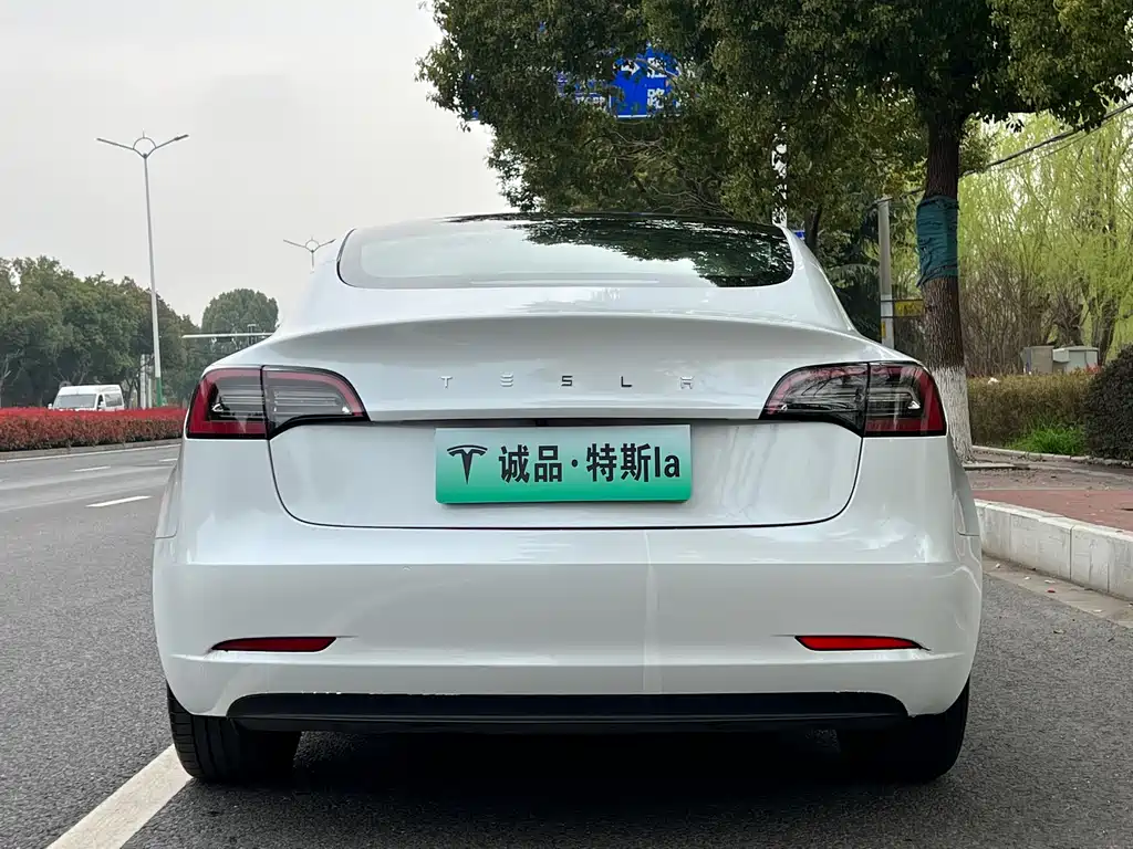Tesla Model 3 2022