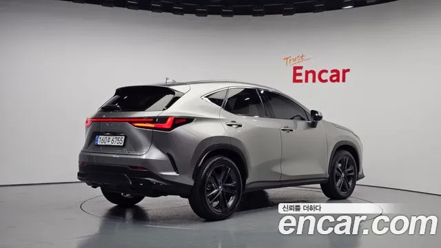 Lexus NX 2024