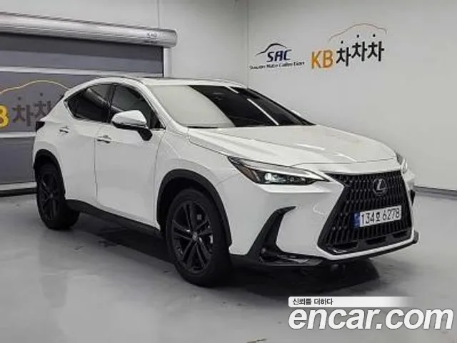 Lexus NX 2024